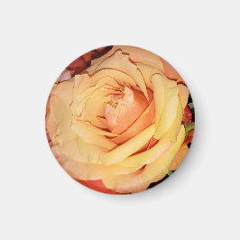Peach Rose Magnet für Ihren Kühlschrank oder Ihr G
