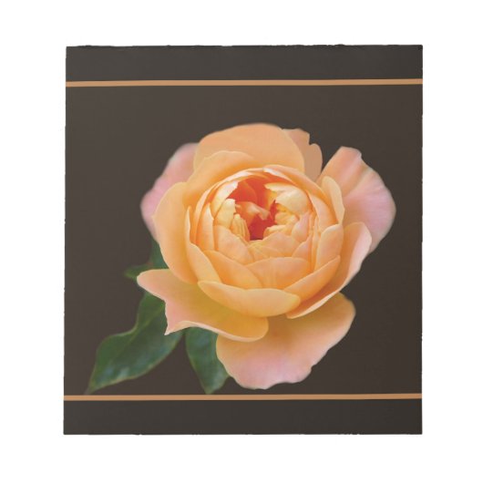 Peach-Rose-Makro Notizblock (Vorderseite)