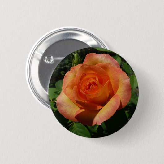 Peach Rose Orange Floral Fotografie Button (Vorne & Hinten)