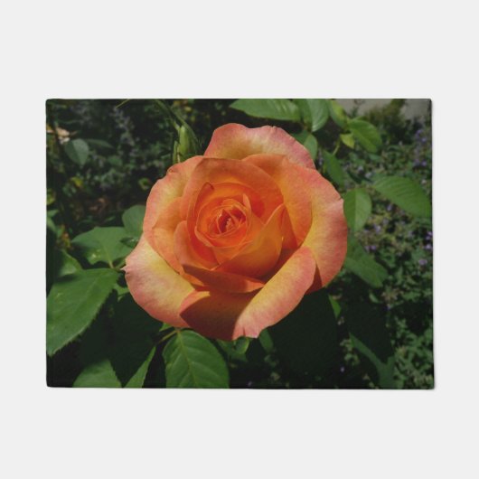 Peach Rose Orange Floral Fotografie Fußmatte (Vorderseite)