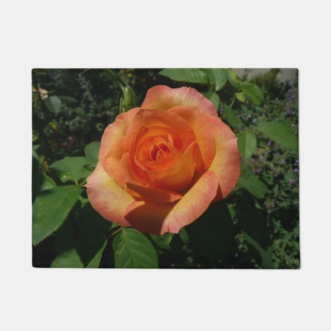 Peach Rose Orange Floral Fotografie Fußmatte (Vorderseite)