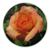 Peach Rose Orange Floral Fotografie Keramikknauf (Vorderseite)