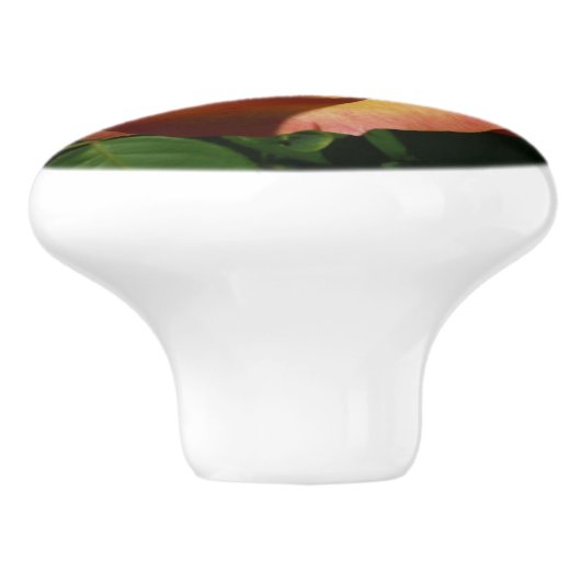 Peach Rose Orange Floral Fotografie Keramikknauf (Seitenansicht)