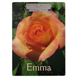 Peach Rose Orange Floral Fotografie Klemmbrett