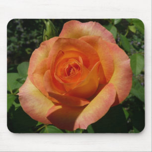 Peach Rose Orange Floral Fotografie Mousepad