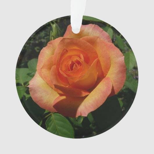 Peach Rose Orange Floral Fotografie Ornament (Vorderseite)