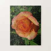 Peach Rose Orange Floral Fotografie Puzzle (Vertikal)