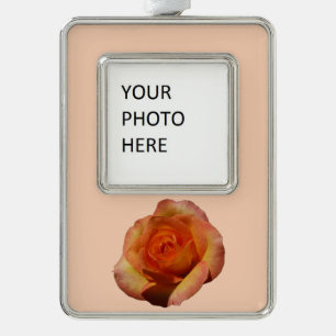 Peach Rose Orange Floral Fotografie Rahmen-Ornament Silber