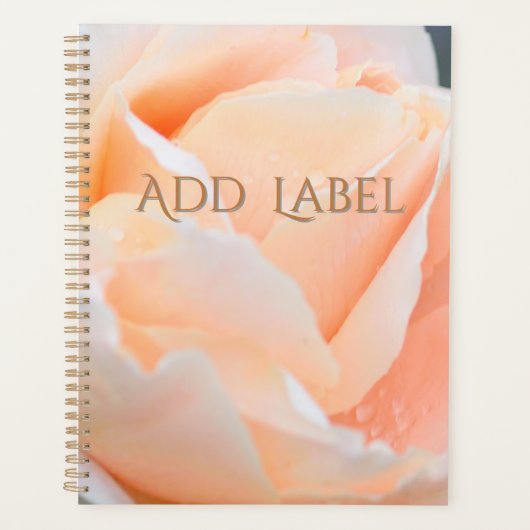Peach Rose Personal Planner Planer (Vorderseite)