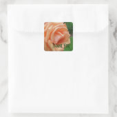 Peach Rose Petals Blume Danke Quadratischer Aufkleber (Tasche)