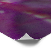 Peach Rose Poster (Ecke)
