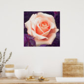 Peach Rose Poster (Küche)