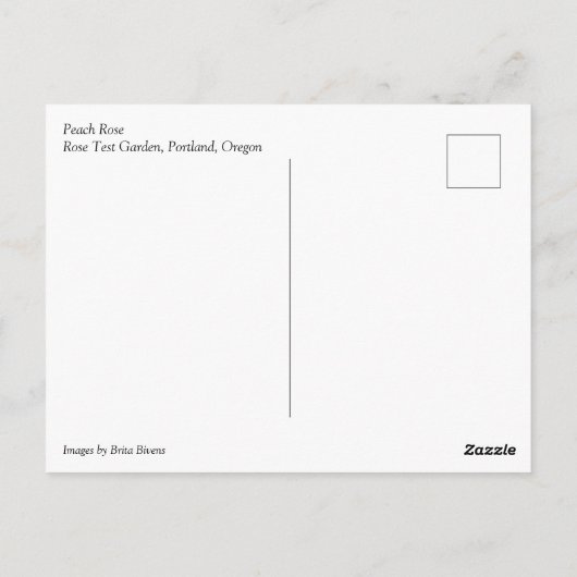 Peach-Rose Postkarte (Rückseite)