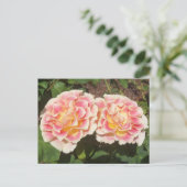 Peach Rose Postkarte (Stehend Vorderseite)