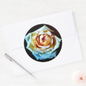 Peach-Rose Runder Aufkleber (Umschlag)