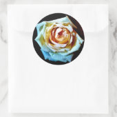 Peach-Rose Runder Aufkleber (Tasche)