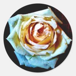 Peach-Rose Runder Aufkleber