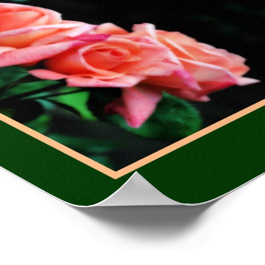 Peach Rose Trio Mirror Abstrakte Kunst, Dichtung u Poster (Ecke)