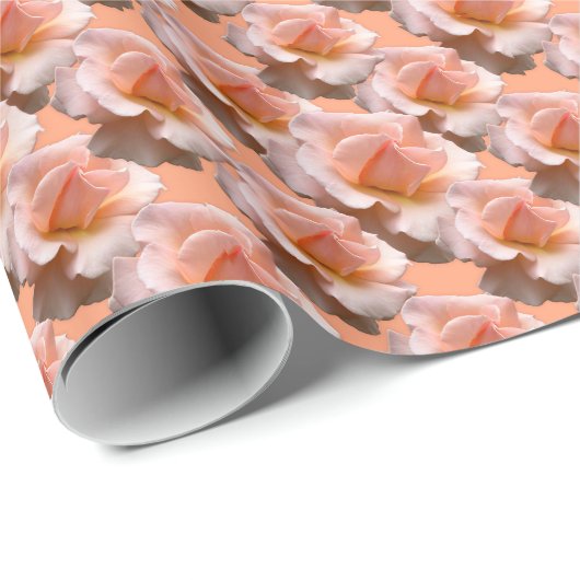 Peach Rose Umschlag Papier Romantische Rose Papier Geschenkpapier (Rolleneckpunkt)