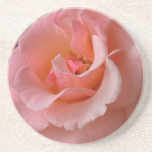 Peach Rose Untersetzer Wilde Rose Geschenke Keepak