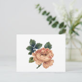 Peach Rose - Vintag Makeover. Postkarte (Stehend Vorderseite)