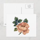 Peach Rose - Vintag Makeover. Postkarte (Vorne/Hinten)
