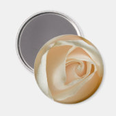 Peach Rose Wedding Magnet (Vorderseite/Rückseite)