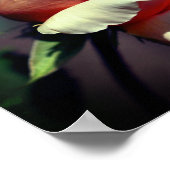 Peach Rosenknospe Blume Nah Up Mirror Abstrakt Poster (Ecke)