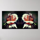 Peach Rosenknospe Blume Nah Up Mirror Abstrakt Poster (Vorne)