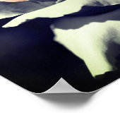 Peach Rosenknospe Schwarzweiß-Partial-Farbspiegel Poster (Ecke)