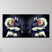 Peach Rosenknospe Schwarzweiß-Partial-Farbspiegel Poster (Vorne)