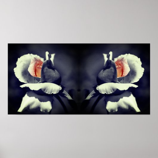 Peach Rosenknospe Schwarzweiß-Partial-Farbspiegel Poster (Vorne)
