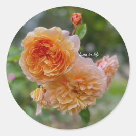 Peach Roses auch Runder Aufkleber