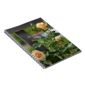 Peach Roses Fence Floral (my photography) Notizblock (Rechte Seite)