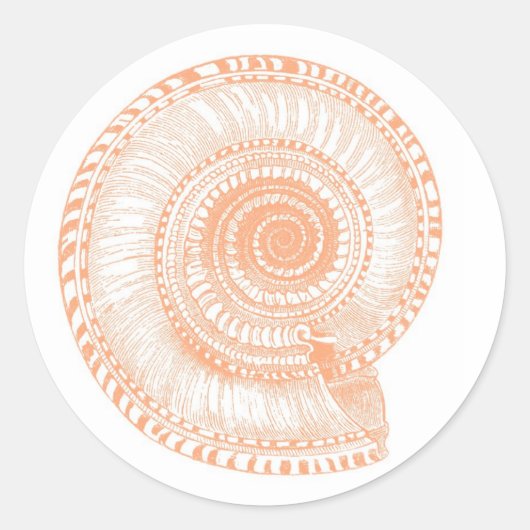 Peach Seashell Sticker (Vorderseite)
