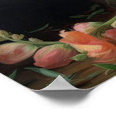 Peach Snapdragon Blume Art Print Poster (Ecke)