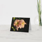 Peach-Taglilie Dankeskarte (Vorderseite)