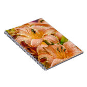 Peach-Taglilie Notizblock (Rechte Seite)