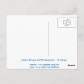 PEACH TIGER POSTCARD POSTKARTE (Rückseite)