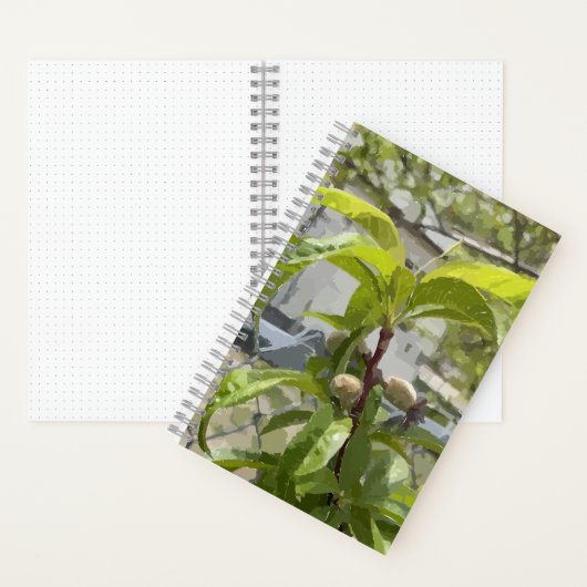Peach Tree Bullet Journal Notizblock (Innen)
