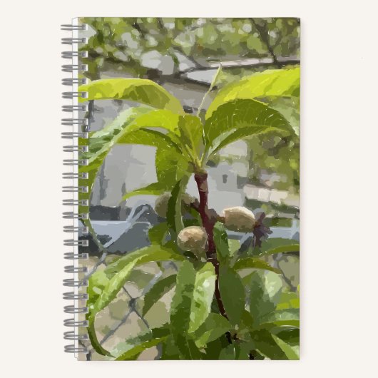 Peach Tree Bullet Journal Notizblock (Vorderseite)
