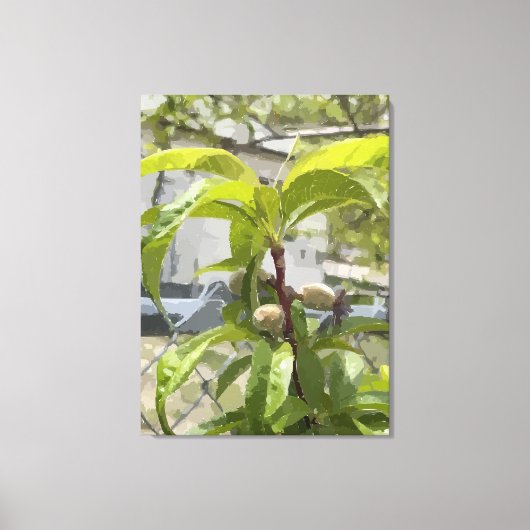 Peach Tree Gestrickte Canvas Print Leinwanddruck (Vorderseite)
