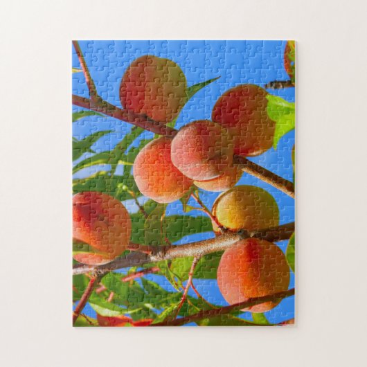 Peach tree puzzle (Vertikal)