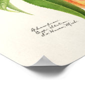 Peach Twig (Prunus Persica) Obstmalerei Poster (Ecke)