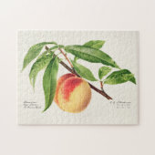 Peach Twig (Prunus Persica) Obstmalerei Puzzle (Horizontal)