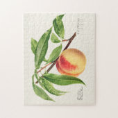 Peach Twig (Prunus Persica) Obstmalerei Puzzle (Vertikal)