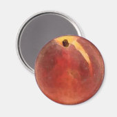 Peach Wassercolor - Magnet (Vorderseite/Rückseite)