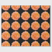 Peach Yellow Pink Blend Rose Blume Foto auf Schwar Geschenkpapier (Flach)