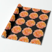 Peach Yellow Pink Blend Rose Blume Foto auf Schwar Geschenkpapier (Ungerollt)