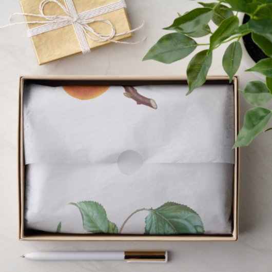 Peaches an einer Zweigniederlassung Seidenpapier (Geschenk)